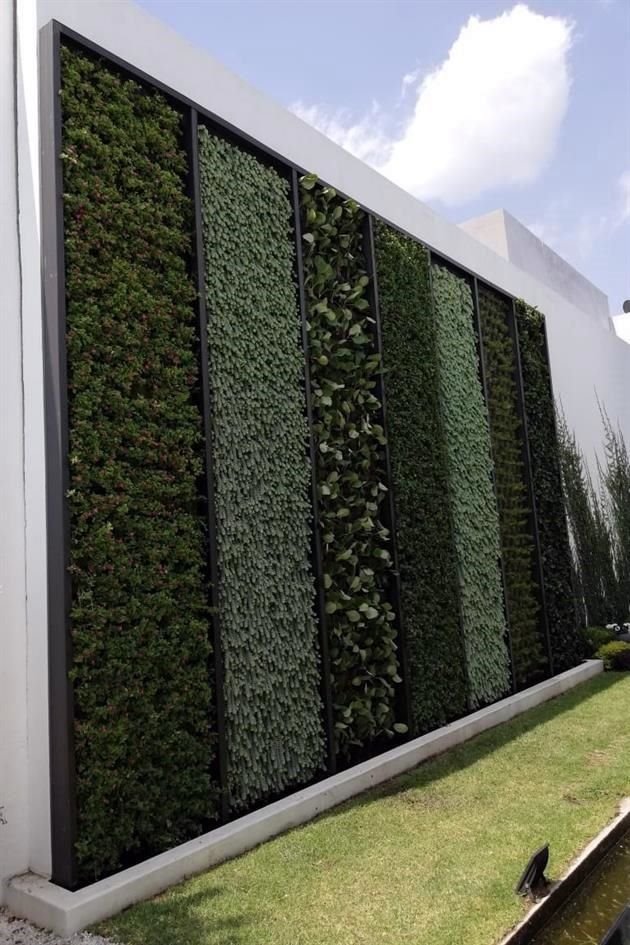 Existen jardines verticales naturales y artificiales. La elección dependerá de tu presupuesto y el tiempo que quieras invertir en su cuidado. Además, se pueden poner en el interior y en el exterior.