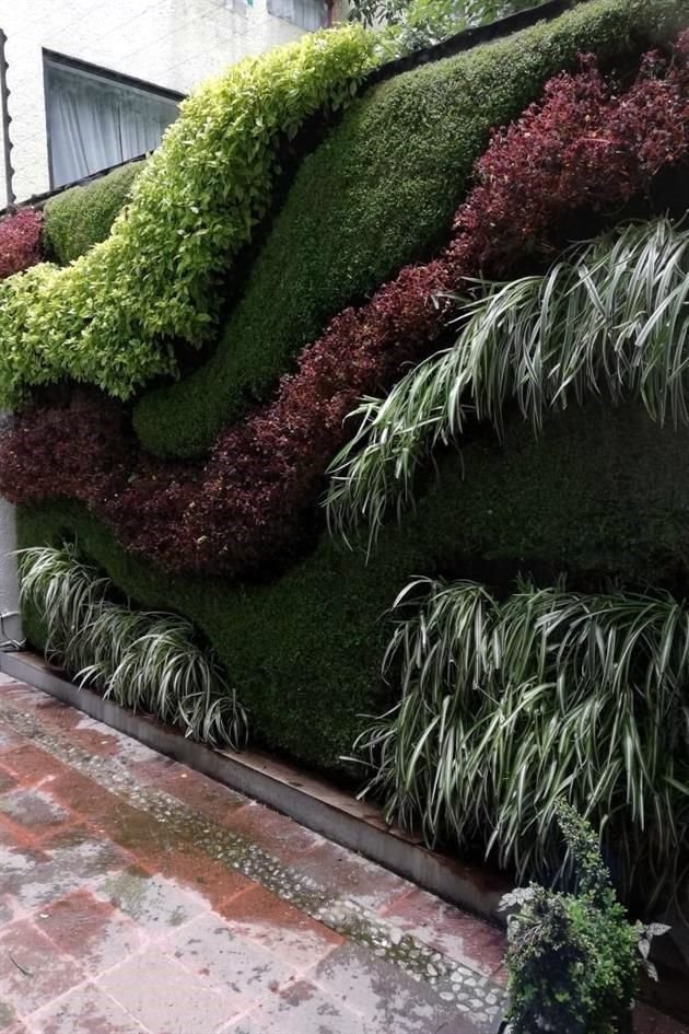 Al tener un muro natural, las plantas ayudan a filtrar partículas nocivas. Mientras que uno artificial tiene materiales térmicos que permiten que la casa no sea tan fría.