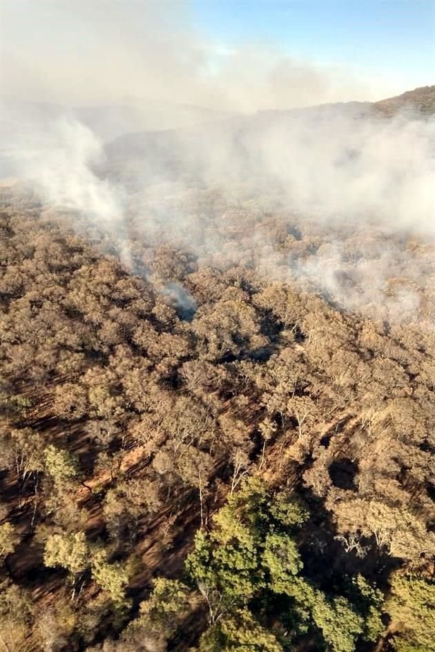 Aunque el incendio en Cerro Viejo no ha sido extinguido, ya se reporta como controlado.