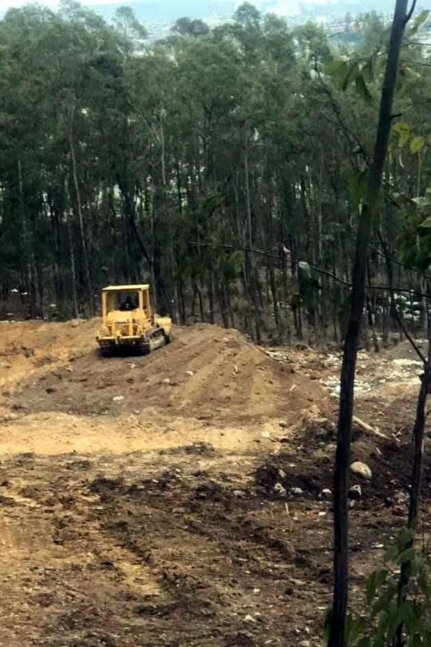 Activistas documentaron tala y la construcción de una obra en la Sierra de Guadalupe.