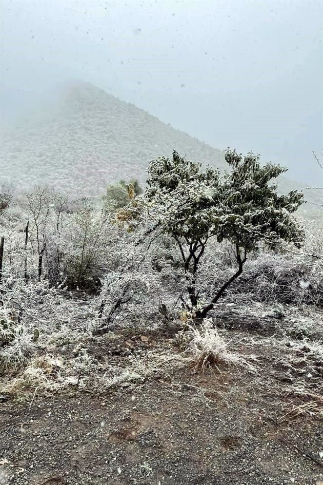 El primer lugar en el que se reportó el fenómeno fue en Bustamante.