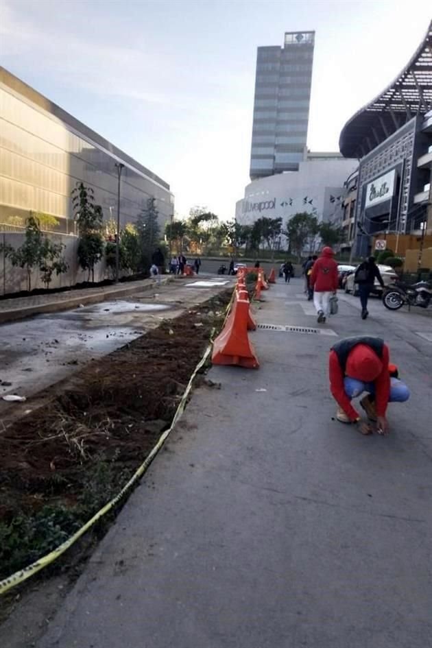 Alrededor de 80 árboles vivos, que meses antes fueron plantados por pobladores, fueron retirados la semana pasada, denuncian vecinos.