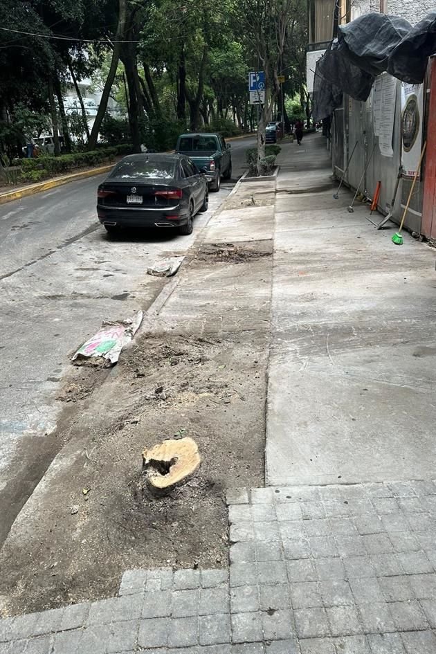 Tras los trabajos, en la acera sólo quedaron los tres huecos de las jardineras con las bases de los troncos.