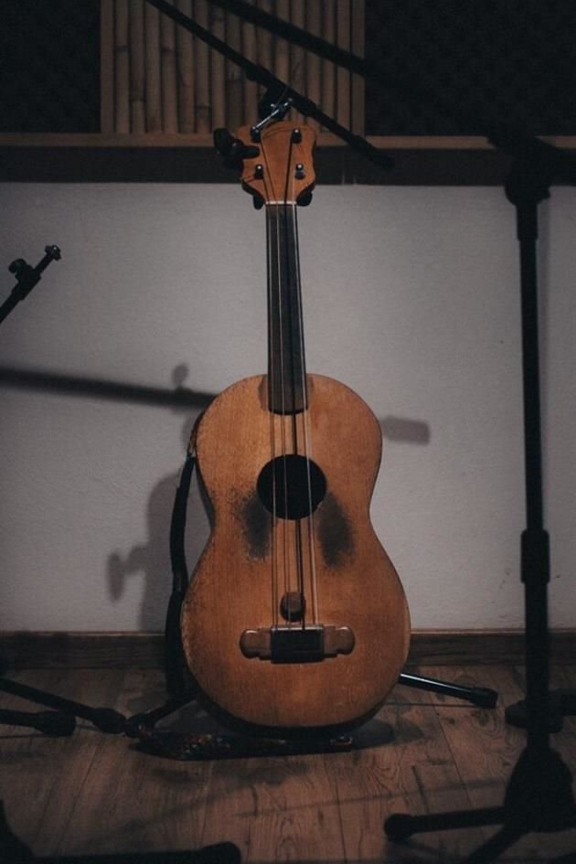 Instrumento tradicional mexicano conocido como  'la leona'.
