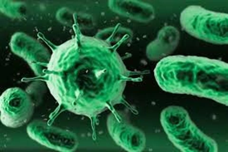 Acciones sencillas como lavarse las manos impiden que las bacterias se propaguen.