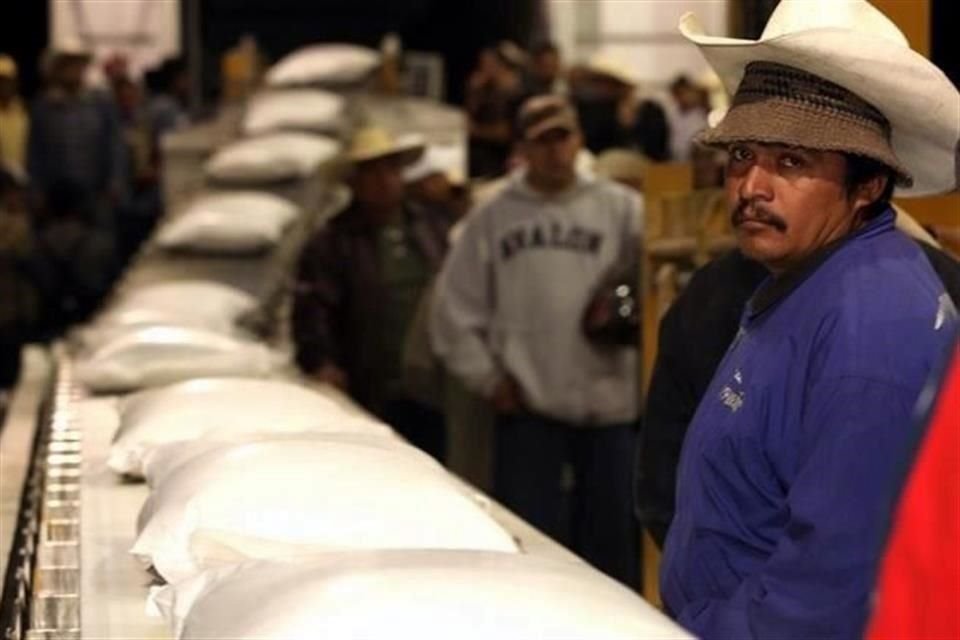 De los 51 ingenios que existen en México, sólo 13 se dedican a hacer tanto azúcar estándar como cruda.