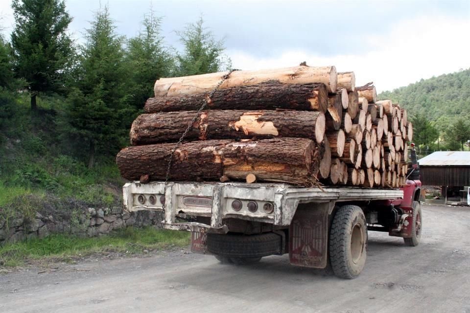 La producción de madera en México es de entre 9 y 10 millones de metros cúbicos cada año.