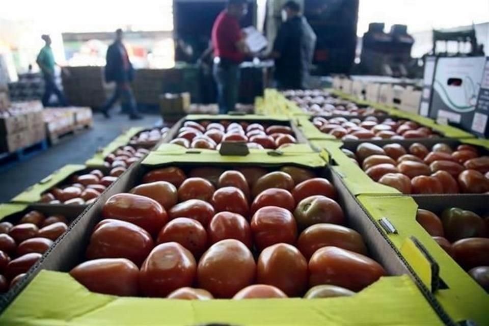 Estados Unidos reactivará la investigación antidumping suspendida desde 1996 contra las importaciones de tomate mexicano. 