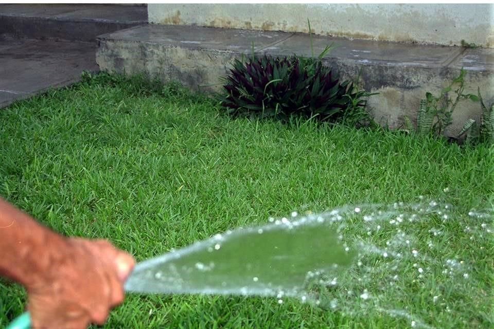 El agua tratada se puede utilizar para regar las áreas verdes del hogar.