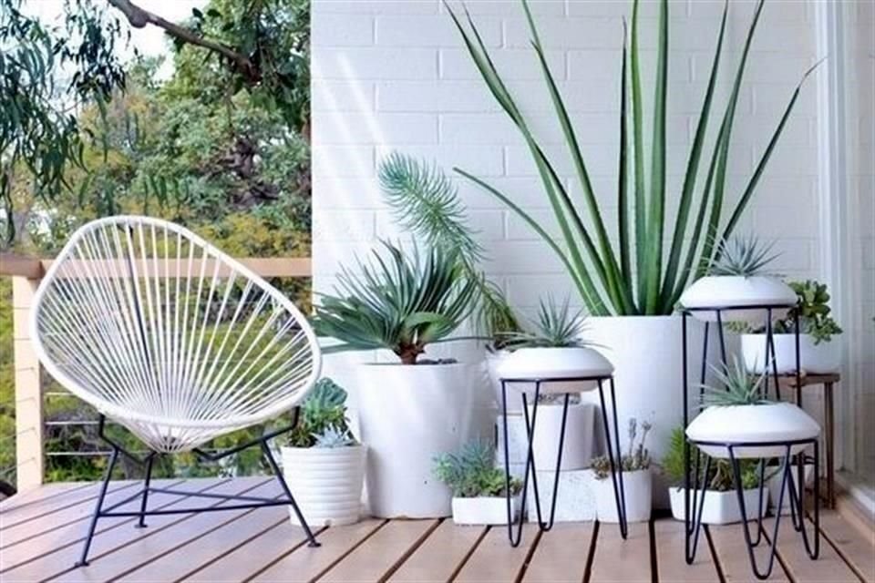 Sillas y plantas son algunos elementos que son posibles integrar en este espacio de la casa. <br>Es importante tomar en cuenta el tamaño de la entrada antes de comenzar con la decoración.