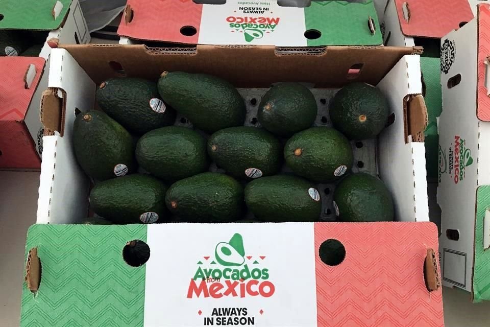 El USDA reanudará las inspecciones de aguacates michoacanos y permitirá que se reinicien las importaciones después de que las autoridades y los productores acordaron promulgar medidas de seguridad adicionales.