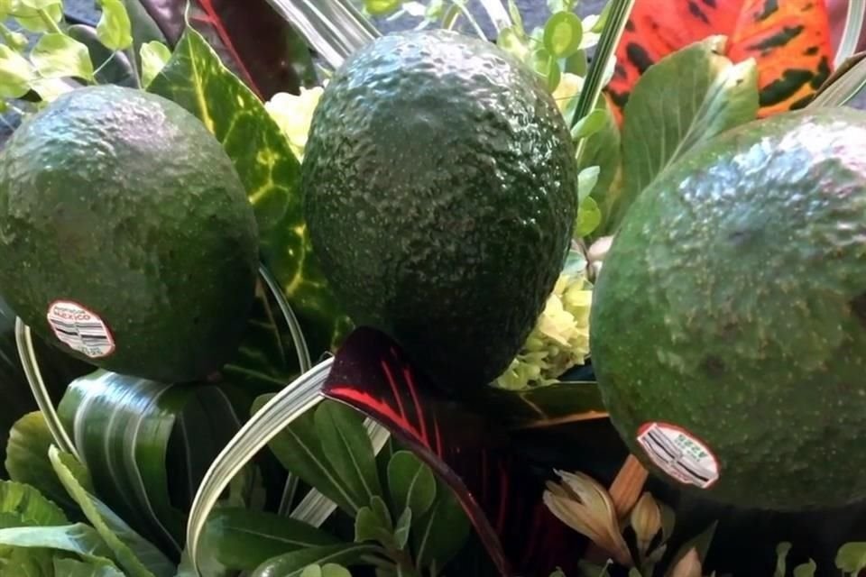 Los aguacates mexicanos crecen principalmente en el estado Michoacán, el único lugar del mundo donde los árboles dan fruto cuatro veces al año.