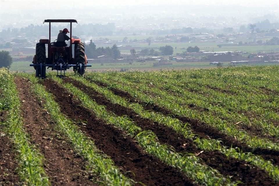 El Gobierno seguirá intentando imponer ideologías que pueden poner en riesgo al agro, manifestó Bosco de la Vega.