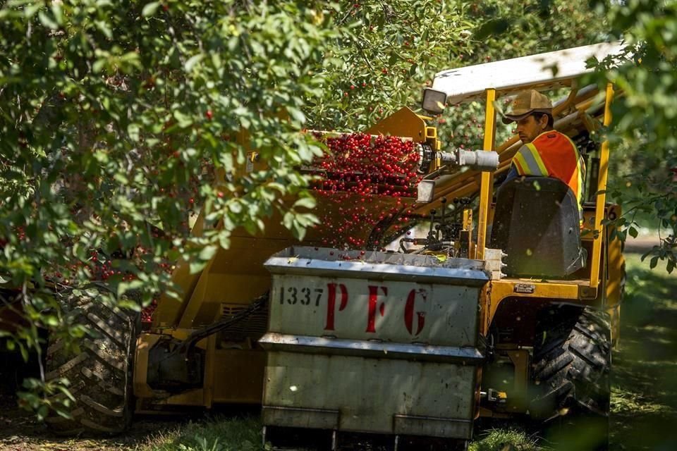 Las pérdidas para la industria son variables, los robos reportados llegan a ser sobre camiones que pueden costar hasta 10 millones de pesos.