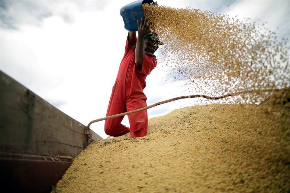 Para la próxima temporada, las ventas pendientes de soya a la nación asiática son un 73 por ciento más bajas que en el mismo periodo del año pasado, a causa de los aranceles.