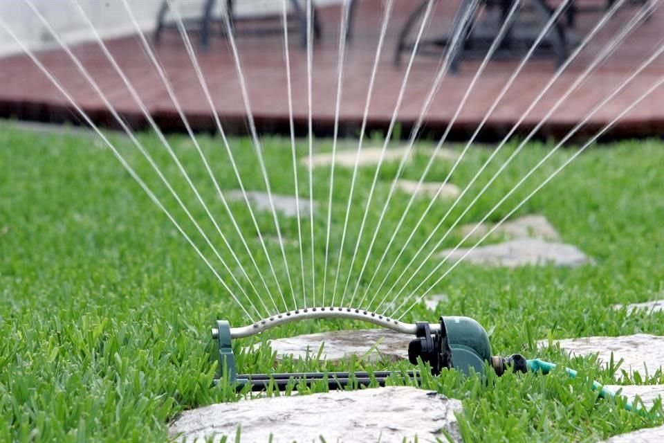 Si el jardín es nuevo se recomienda regar todos los días por las mañanas por un lapso de 10 días.