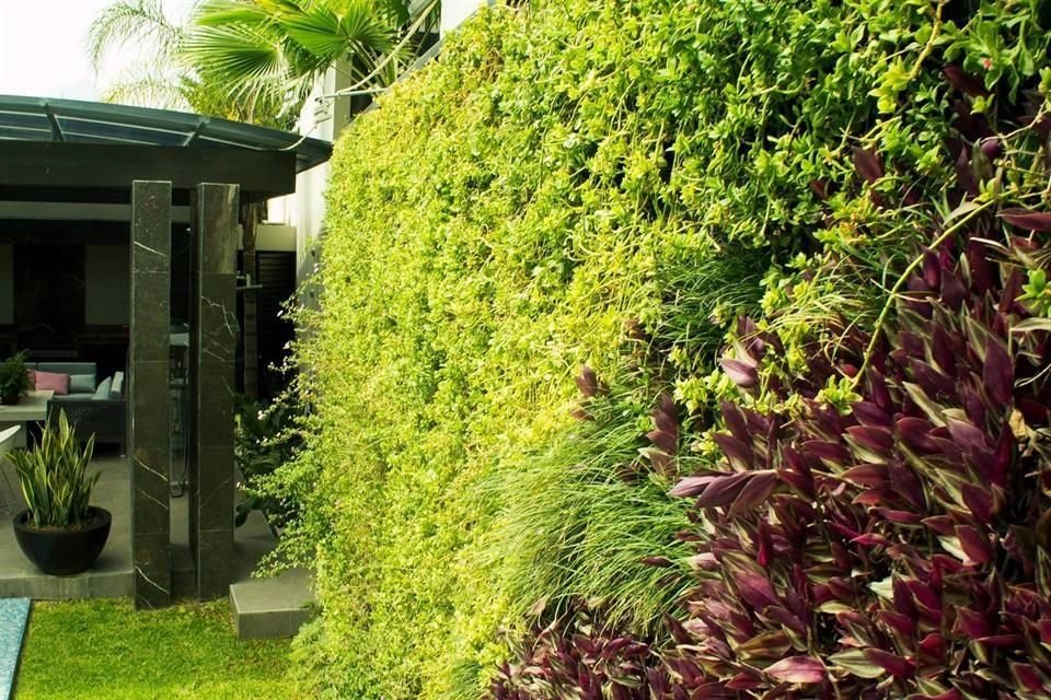 Los muros verdes naturales permiten crear un área exterior más confortable.