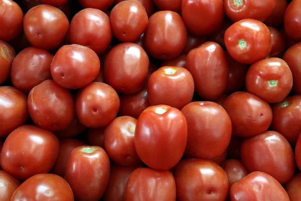 A partir de marzo de 2020, en la frontera con EU los tomates mexicanos serán inspeccionados en su calidad.