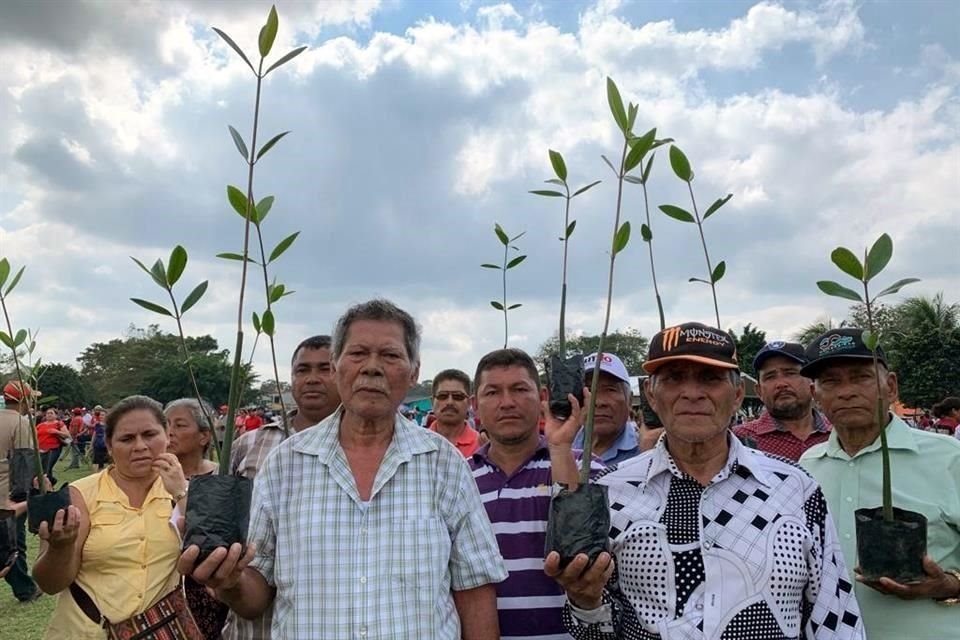 Sembrando Vida da pocos frutos.