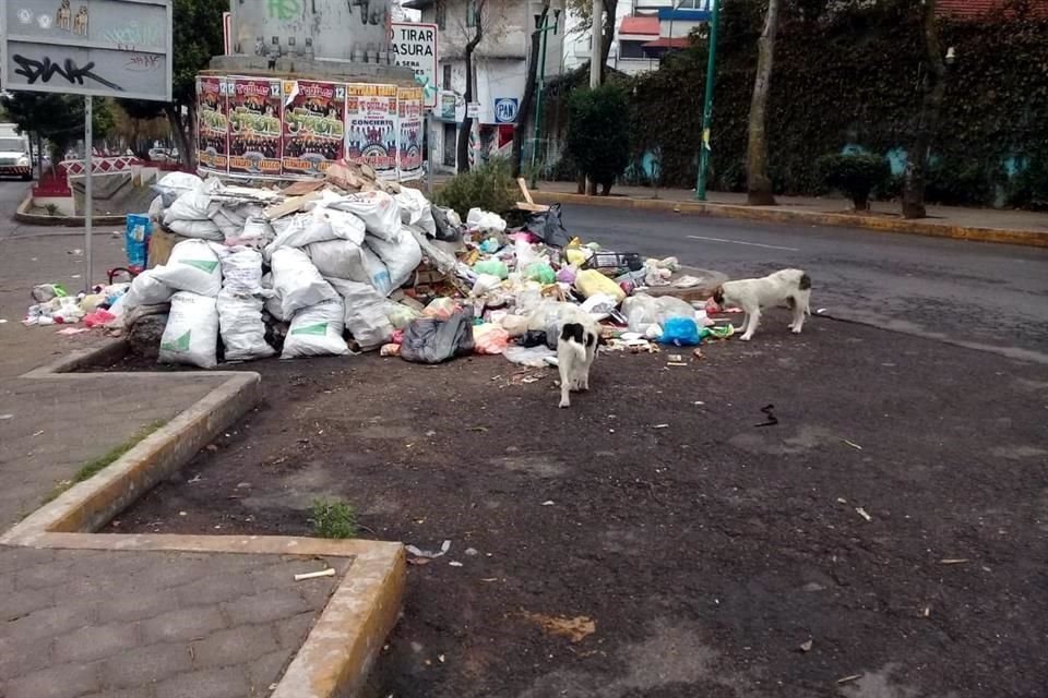 Los tiraderos clandestinos podrían ser erradicados, como el observado en la esquina de Doctor Olvera y Doctor Vértiz, si la autoridad detecta a los infractores reincidentes.