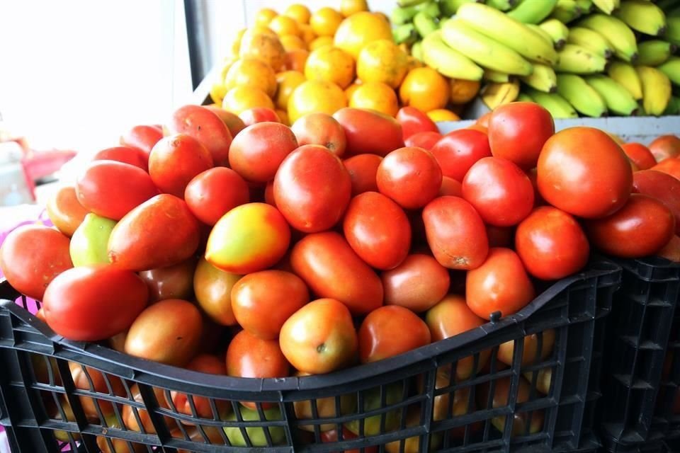 La clasificación propuesta considera un precio de referencia de 0.31 dólares por libra para tomate bola y roma.