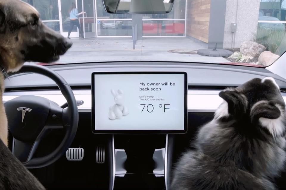 La función de modo perro mantendrá el coche fresco para que las mascotas permanezcan cómodas.