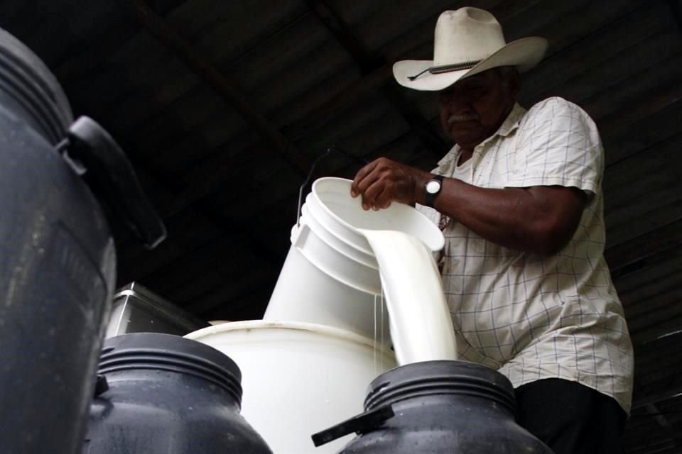 De acuerdo con el Frente, hay alrededor de 150 mil pequeños y medianos productores de leche en México.