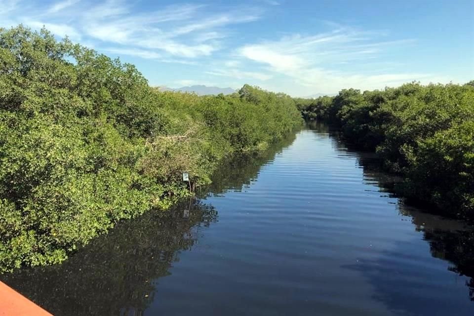 Se han detectado 99 especies de aves, 46 de flora, 10 de mamíferos, y 29 de anfibios y reptiles. 