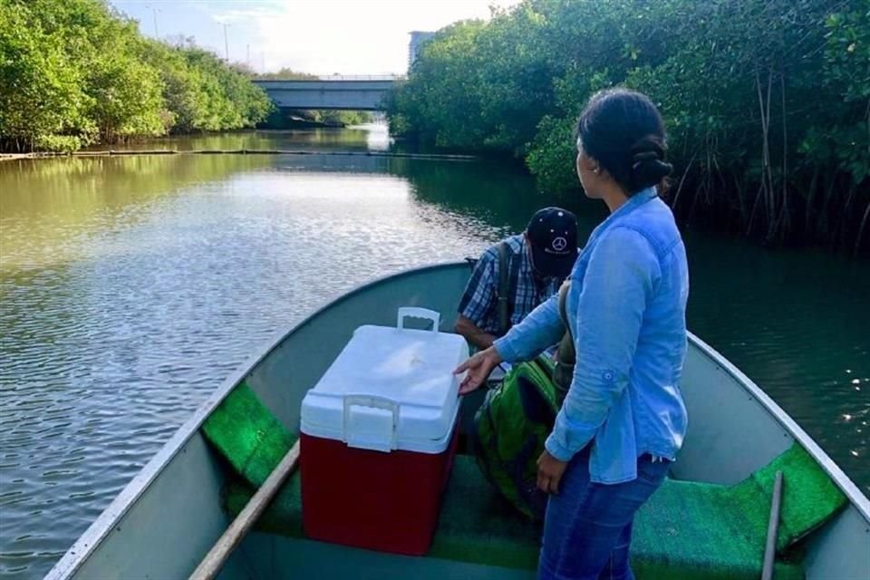, la Segia informó que realizó la instalación de ocho equipos de aereación en el ANP para restablecer el ambiente ecológico.