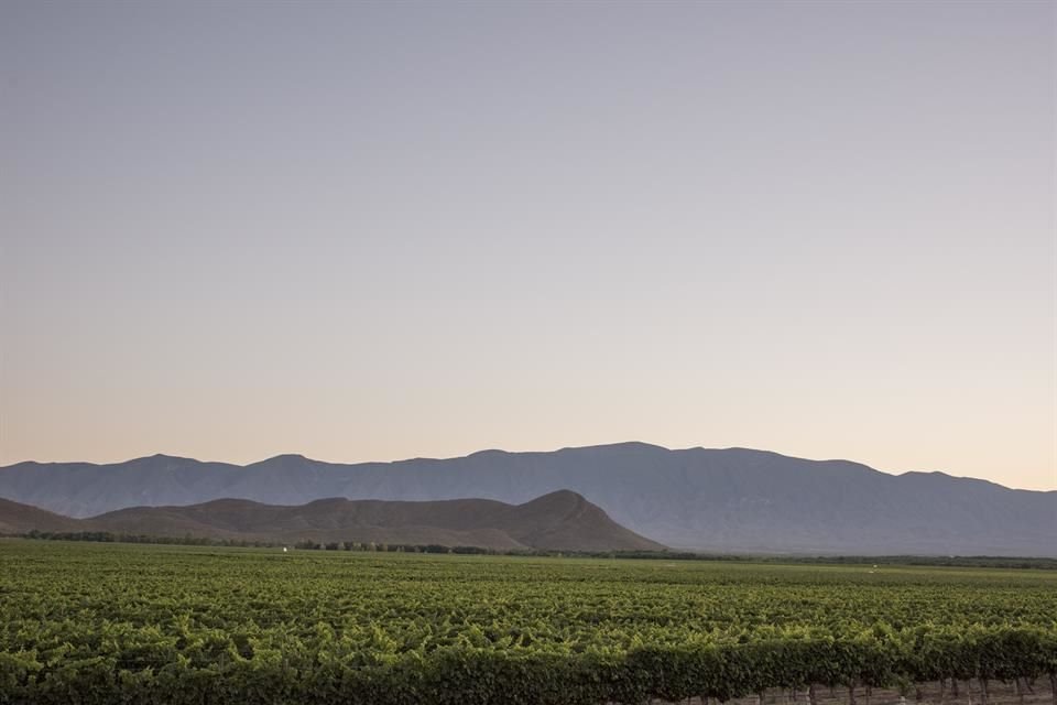 El Pueblo Mágico de Parras, Coahuila, cuna de buenos vinos, suma 177 tomas clandestinas, la mayor cifra a nivel municipal reportada en el País.