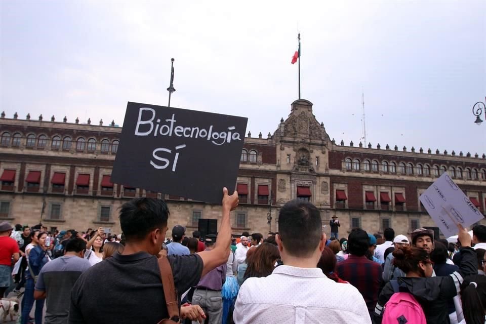El Movimiento por la Ciencia denunció que la directora del Conacyt, María Elena Álvarez-Buylla, pretende desaparecer cinco organismos.