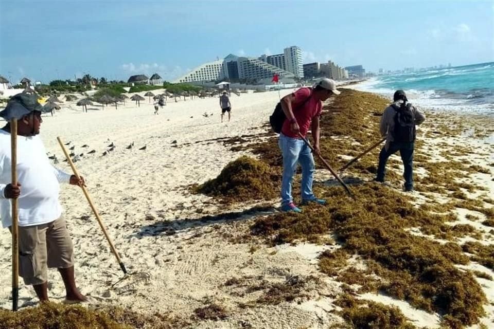 Trabajadores retiran sargazo en una playa de Cancún.