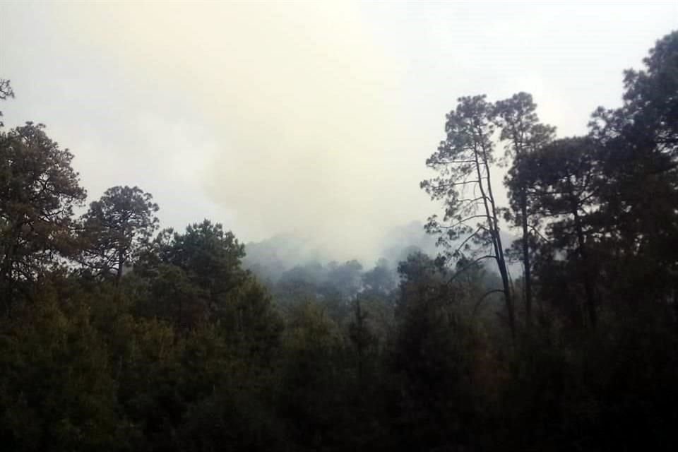 Incendio en Marqués, comunidad Topilejo.