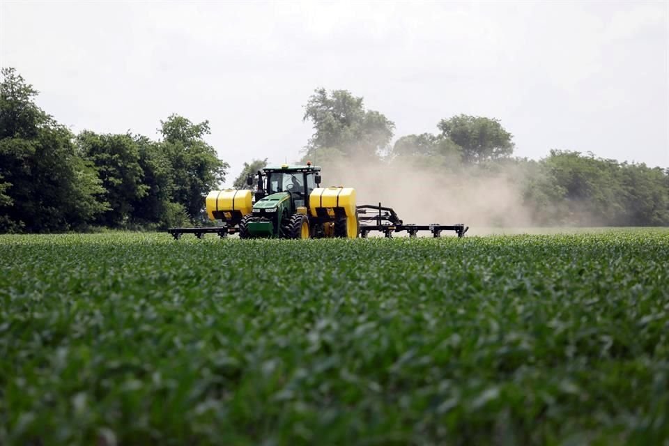 Alertan que el recorte del presupuesto al campo claro que atenta contra la seguridad alimentaria de México.