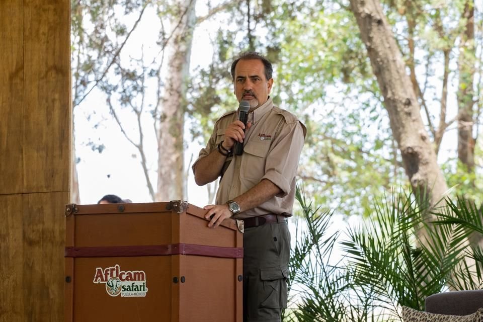 Frank Carlos Camacho, director general de Africam Safari, presentó donativos para conservar especies amenazadas.