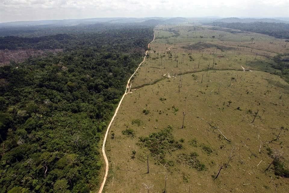 La deforestación del Amazonas brasileño creció más de 88 por ciento por segundo mes consecutivo bajo la Presidencia de Jair Bolsonaro.