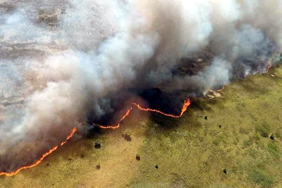 Dos incendios al interior de Reserva de Sian Ka'an, en QR, han dañado 2 mil 35 hectáreas; acusan falta de equipamiento para combatir fuego.