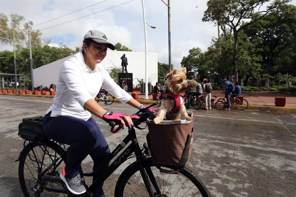 Otros cuántos disfrutaron del paseo desde la comodidad de una canasta.