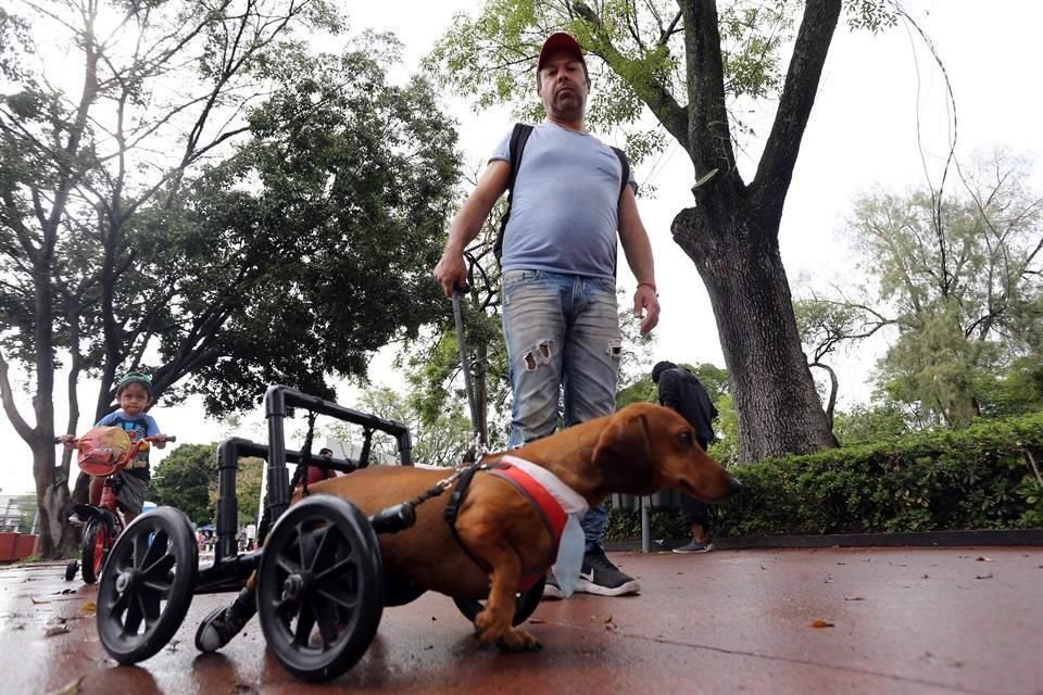 Y otros, con todo y andadera, no dejaron de disfrutar del paseo y de su día.