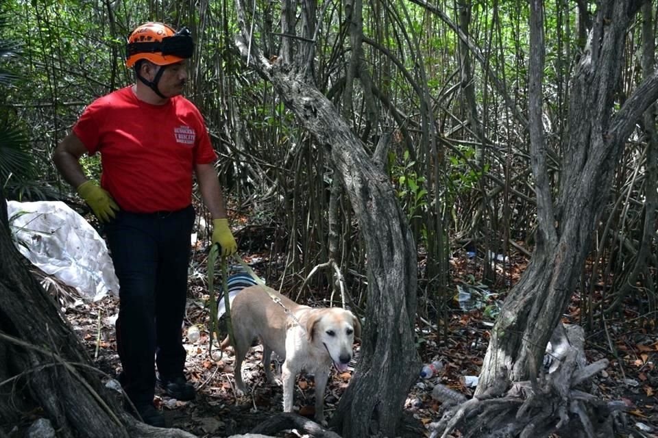 Los rescatistas llevaron a un perro para ayudar en la búsqueda del joven.
