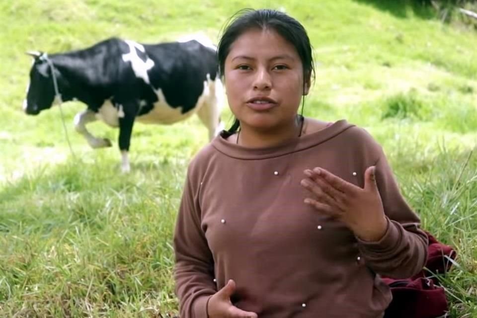 'Yo tengo dos personalidades. Nancy Risol es súper abierta, y Nancy Marisol es una chica muy tímida, antisocial, sólo quiere estar sola', dijo Risol a un medio local.