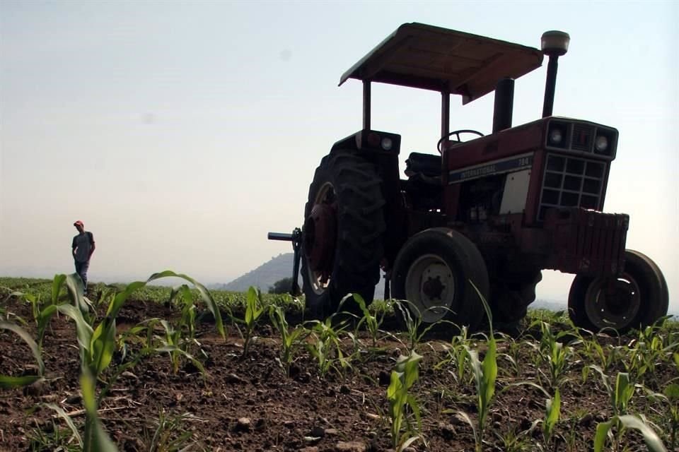 Luis Fernando Haro, director general del CNA, destacó que al tener el quinto lugar mundial en sanidad vegetal y animal, los productos mexicanos ofrecen certidumbre y seguridad.