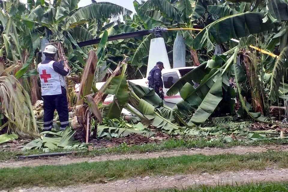 El helicóptero cayó en una zona de platanares en el Municipio de Tuxtepec, Oaxaca.