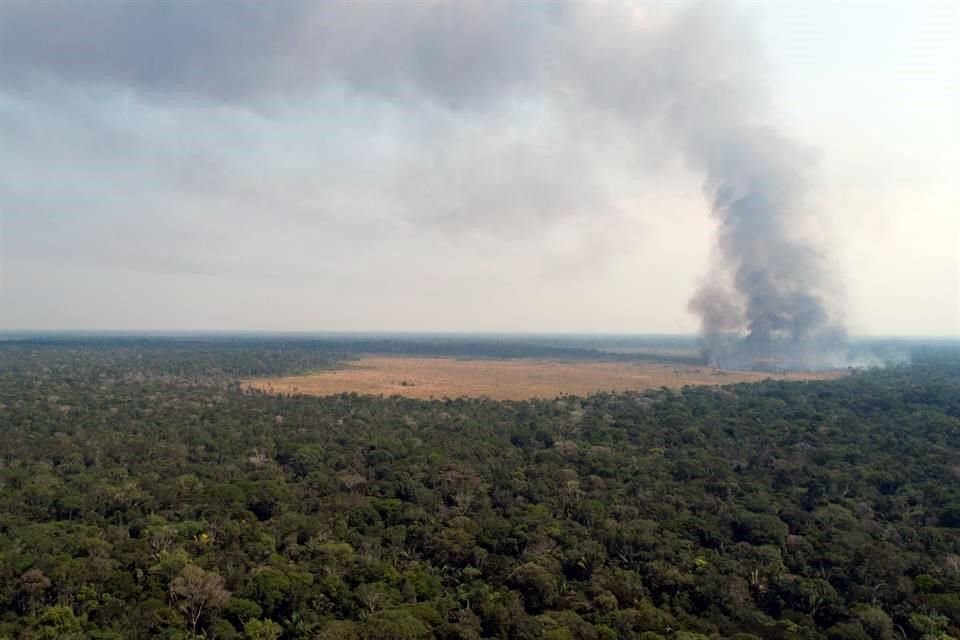 Perú y Colombia convocarán a una reunión internacional para impulsar las políticas de protección y desarrollo de la selva amazónica.