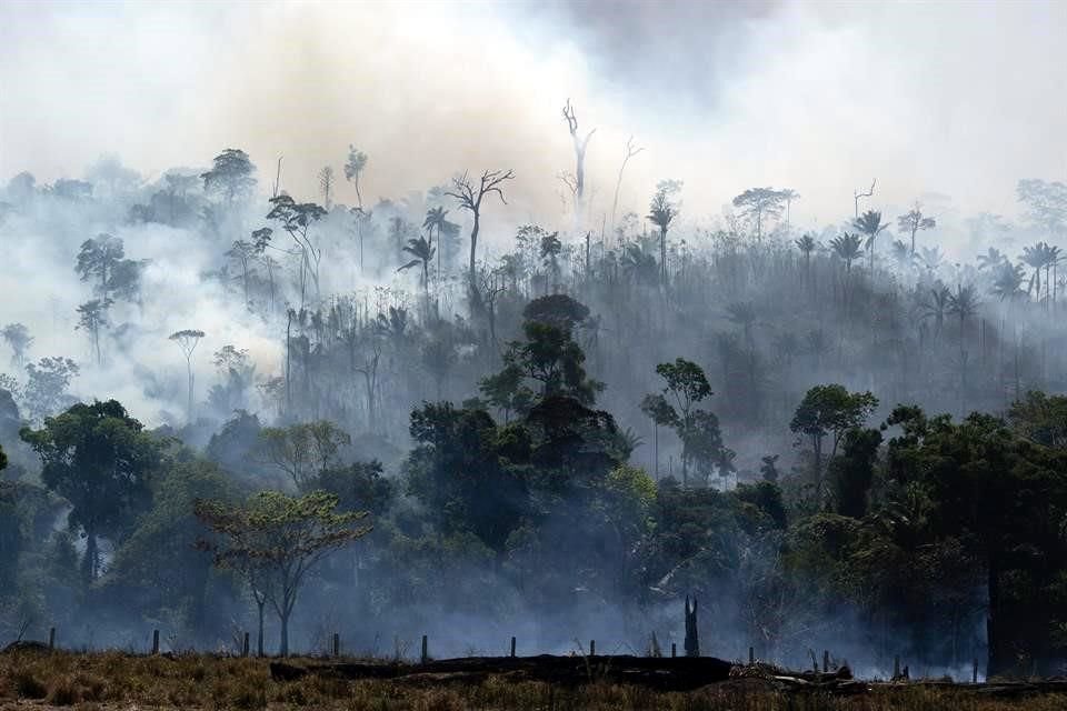 Fuego consume la selva amazónica en Altamira, Brasil.