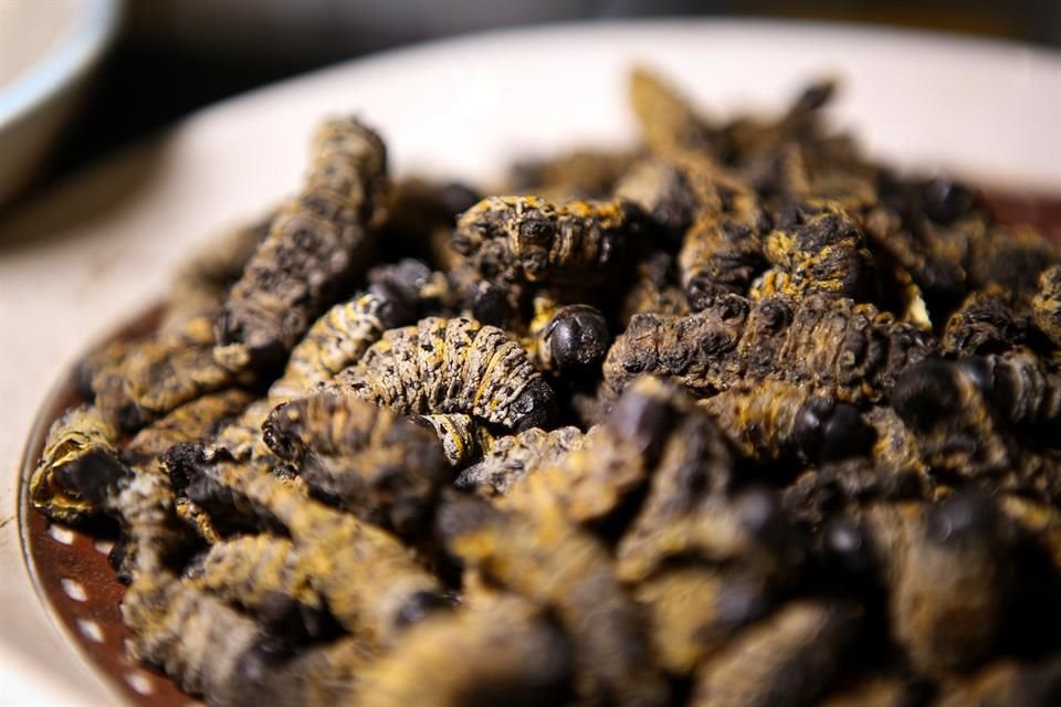 En Insect Experience, los comensales pueden aventurarse a probar gusanos de la harina, así como gusanos mopanes secos más grandes, considerados un manjar en algunos países africanos.