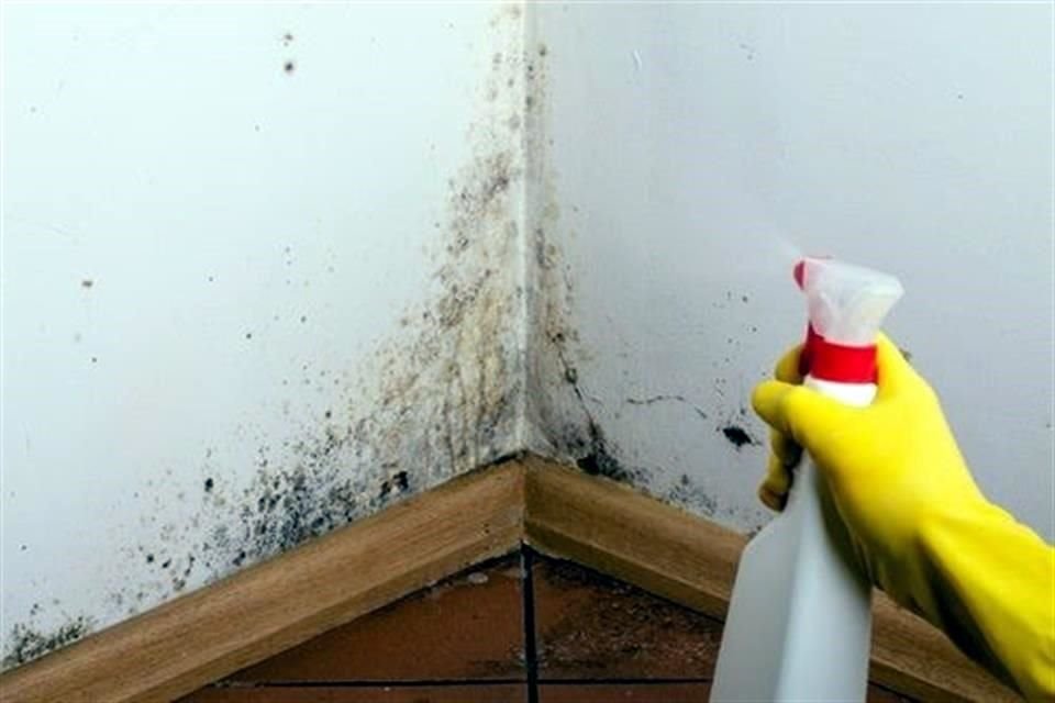Se recomienda utilizar cloro y jabón en polvo para desmanchar la pared.
