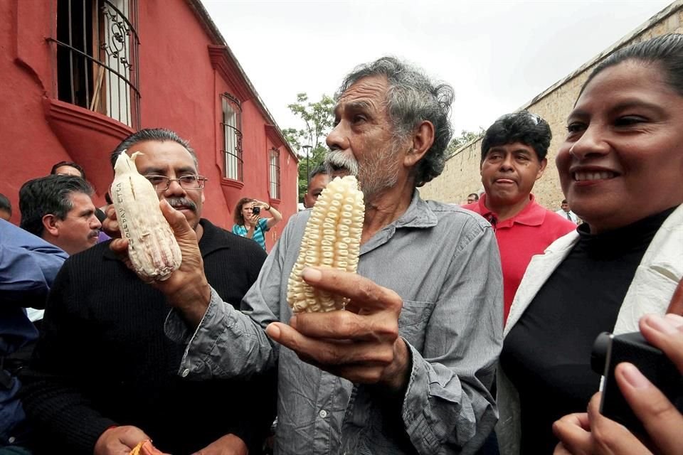 Francisco Toledo encabezó numerosas manifestaciones contra el maíz transgénico.