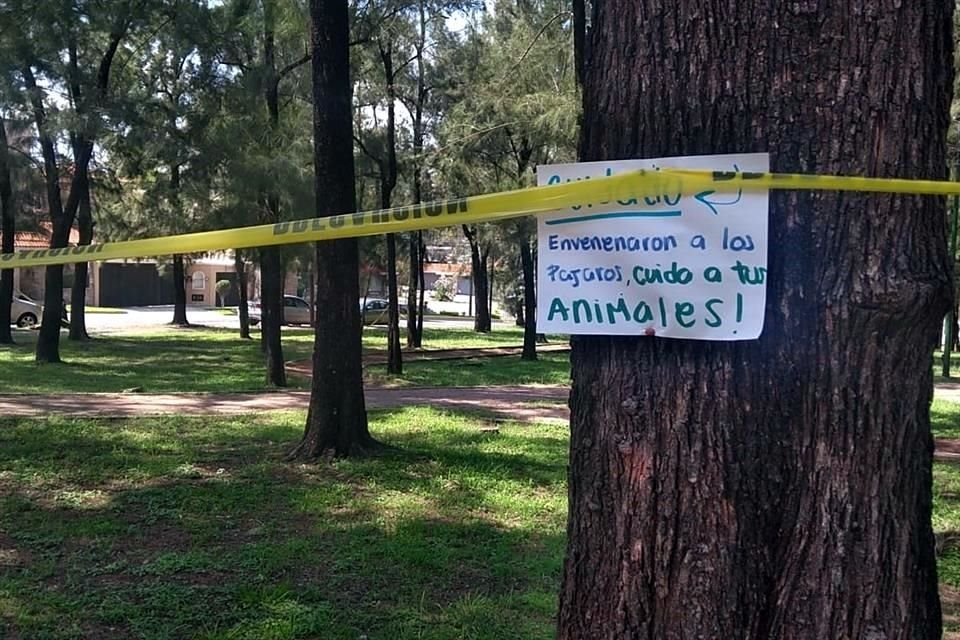Ante la muerte de las aves el fin de semana, se colocaron cintas y letreros de advertencia a los visitantes.