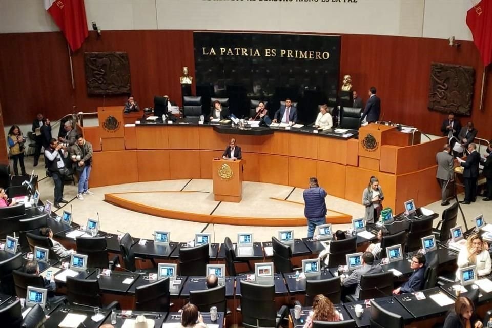 La senadora Blanca Estela Piña lanzó un punto de acuerdo para impedir la autorización de inicio de operaciones a Emirates.